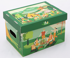 分类图片 Carton Box 3